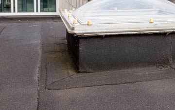 disadvantages of Frisby flat roofs