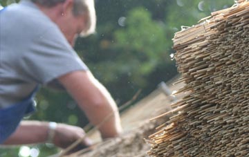 professional Frisby thatchers