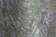 Frisby fibreglass roof work